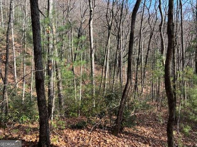 0 Evergreen Lane, Sky Valley, GA 30537