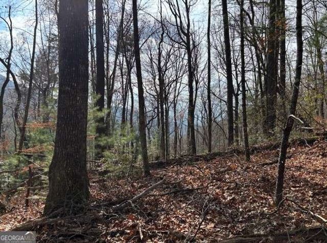 0 Evergreen Lane, Sky Valley, GA 30537