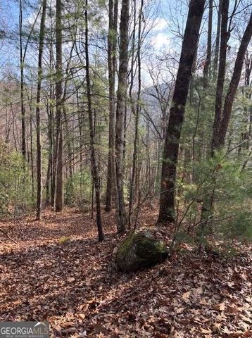 0 Evergreen Lane, Sky Valley, GA 30537