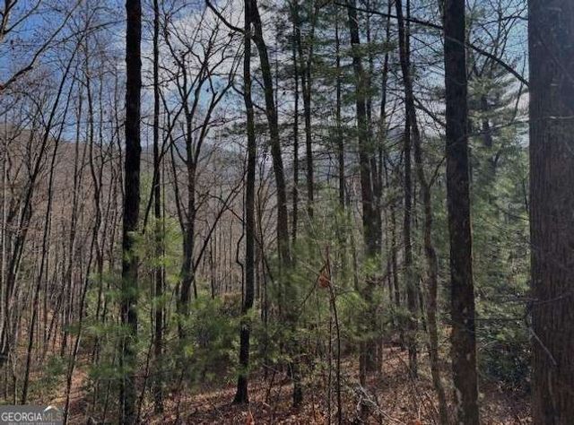 0 Evergreen Lane, Sky Valley, GA 30537