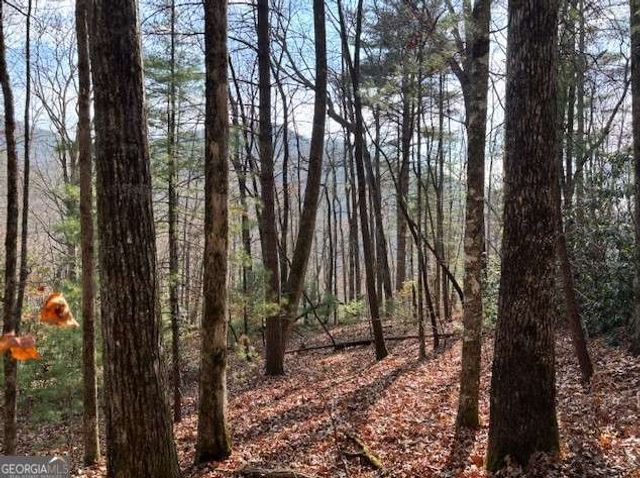 0 Evergreen Lane, Sky Valley, GA 30537