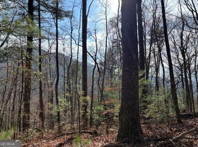 0 Evergreen Lane, Sky Valley, GA 30537