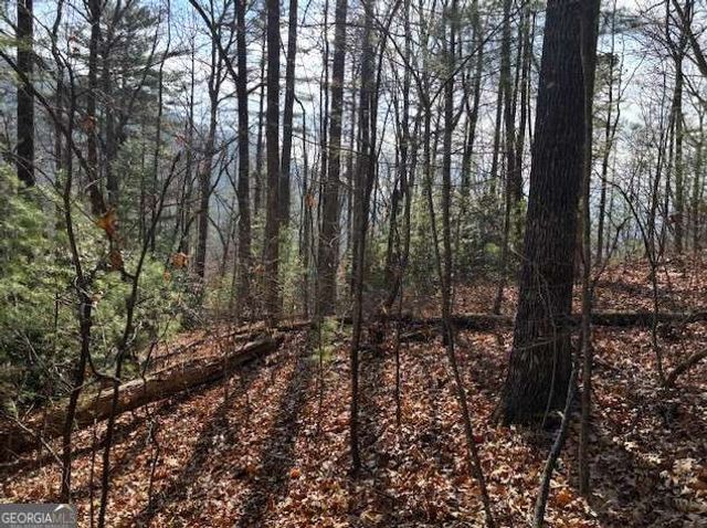 0 Evergreen Lane, Sky Valley, GA 30537