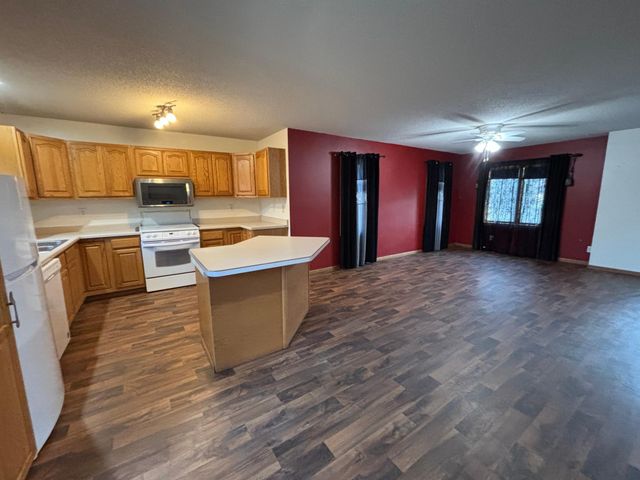 311 Kendall Avenue S, Thief River Falls, MN 56701