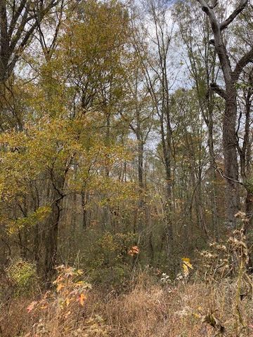 1639 Tennga Gregory Road, Crandall, GA 30711