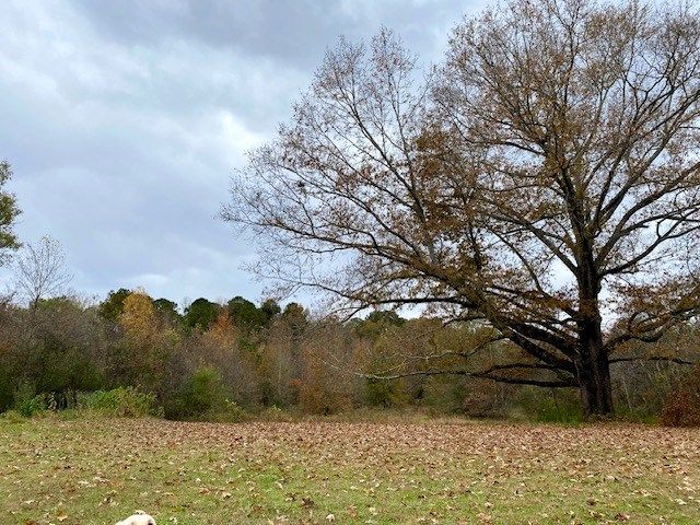 1639 Tennga Gregory Road, Crandall, GA 30711