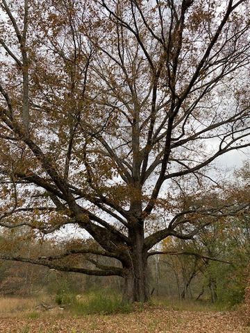 1639 Tennga Gregory Road, Crandall, GA 30711