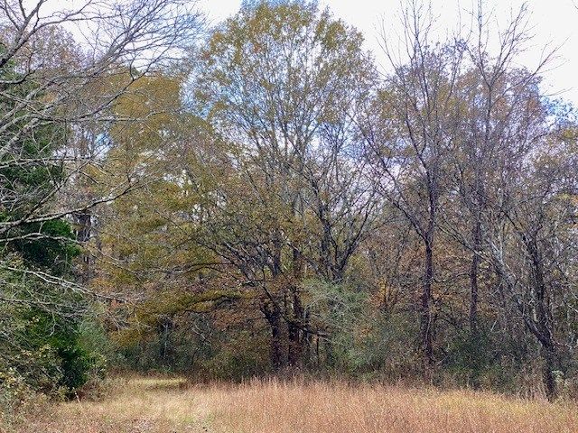 1639 Tennga Gregory Road, Crandall, GA 30711