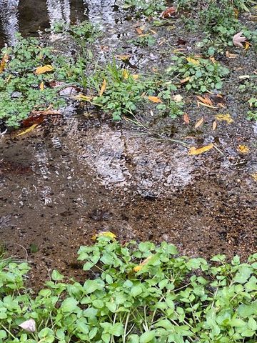 1639 Tennga Gregory Road, Crandall, GA 30711