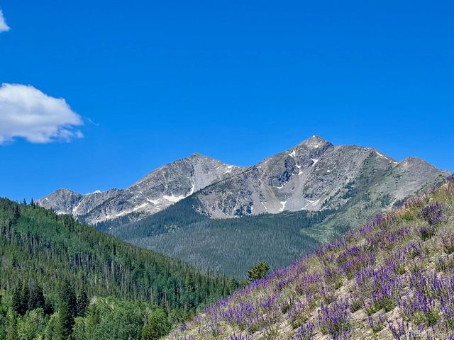 570 Bills Ranch Road 335, Frisco, CO 80443