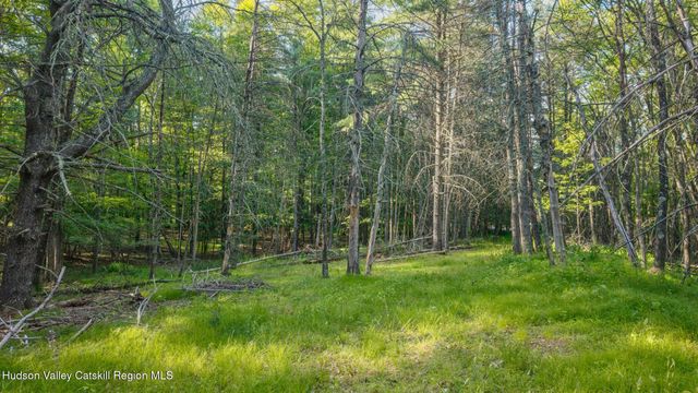 4533 Atwood Road, Stone Ridge, NY 12484