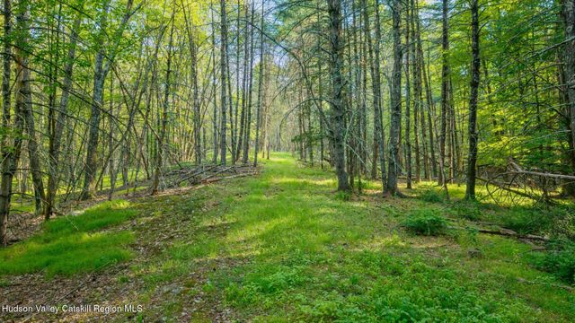 4533 Atwood Road, Stone Ridge, NY 12484