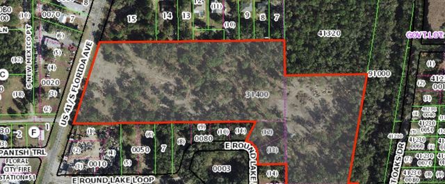8965 S Florida Avenue, Floral City, FL 34436