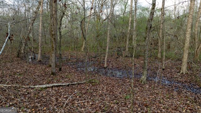 2218 Cross Plains Hulett Road, Carrollton, GA 30116