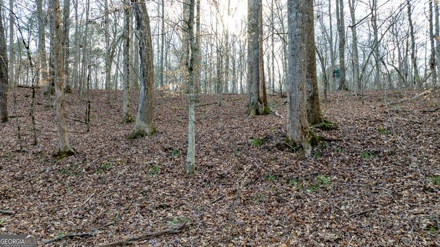 2218 Cross Plains Hulett Road, Carrollton, GA 30116