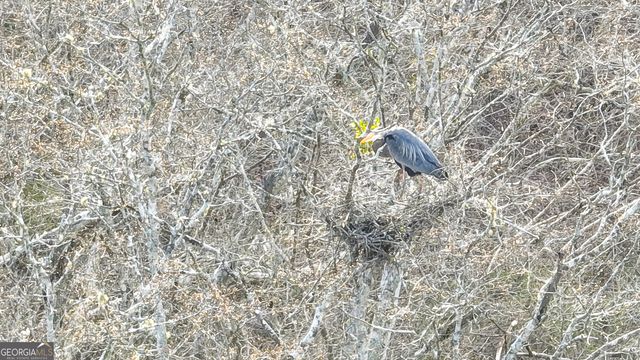 2218 Cross Plains Hulett Road, Carrollton, GA 30116