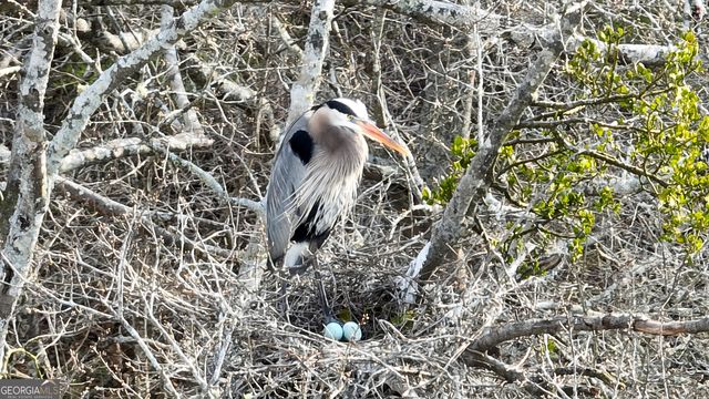 2218 Cross Plains Hulett Road, Carrollton, GA 30116