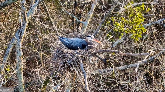 2218 Cross Plains Hulett Road, Carrollton, GA 30116