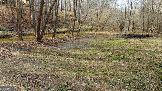 2218 Cross Plains Hulett Road, Carrollton, GA 30116