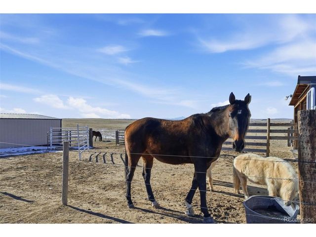 7600 Patrick Trl, Elizabeth, CO 80107