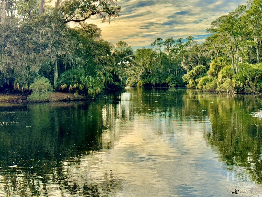 Image 40 of property listing at 38 Wiley Bottom Road, Savannah, GA 31411