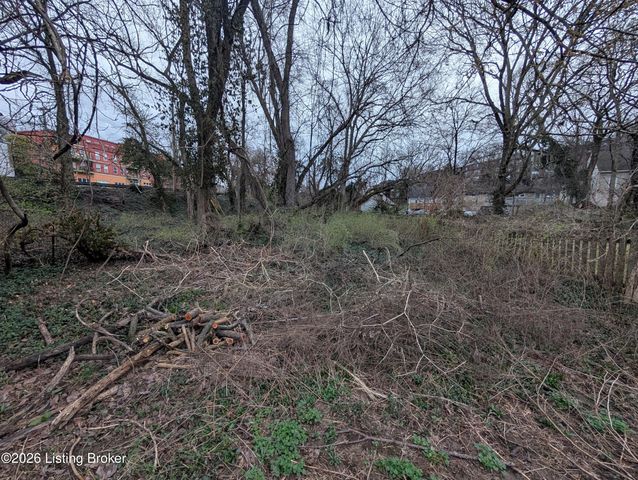 183 N Ewing Ave, Louisville, KY 40206