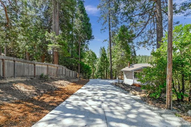 24291 Carson Dr, Pioneer, CA 95666