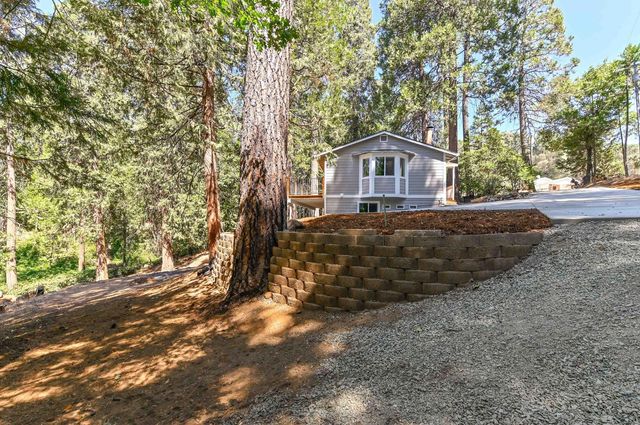 24291 Carson Dr, Pioneer, CA 95666