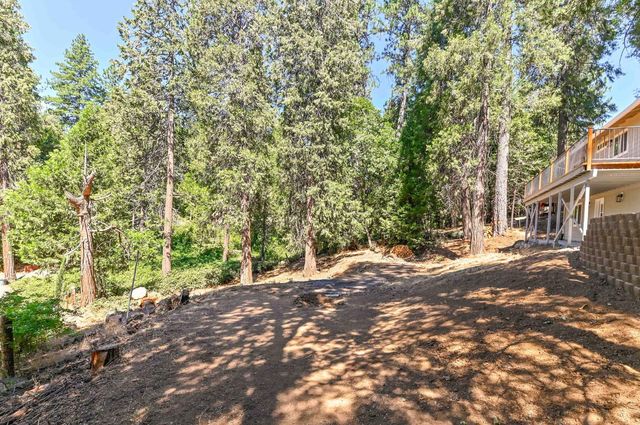 24291 Carson Dr, Pioneer, CA 95666