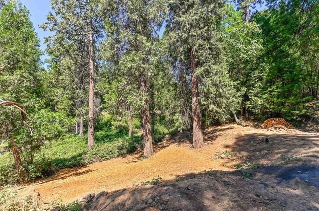 24291 Carson Dr, Pioneer, CA 95666