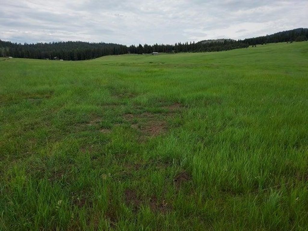 37 Old Ranch House Rd, Republic, WA 99166