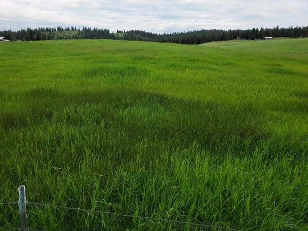 37 Old Ranch House Rd, Republic, WA 99166 photo 2