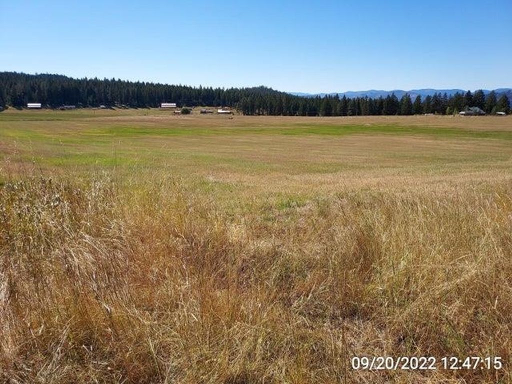 37 Old Ranch House Rd, Republic, WA 99166 photo 11