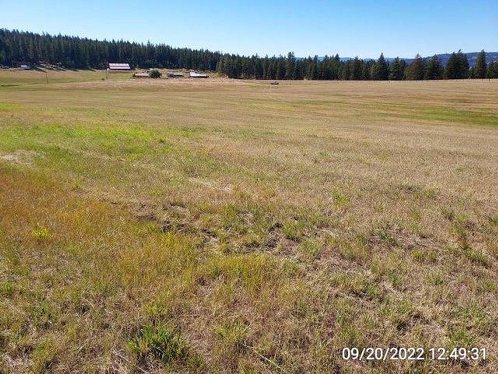 37 Old Ranch House Rd, Republic, WA 99166 photo 13