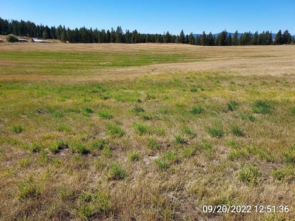 37 Old Ranch House Rd, Republic, WA 99166 photo 15