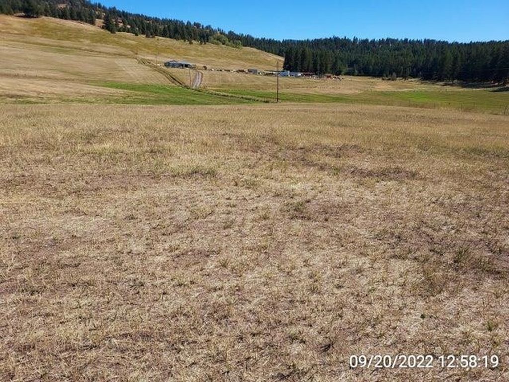37 Old Ranch House Rd, Republic, WA 99166 photo 17