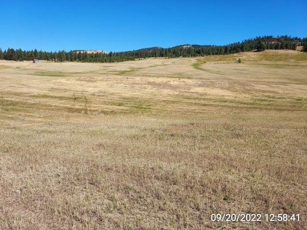 37 Old Ranch House Rd, Republic, WA 99166 photo 18