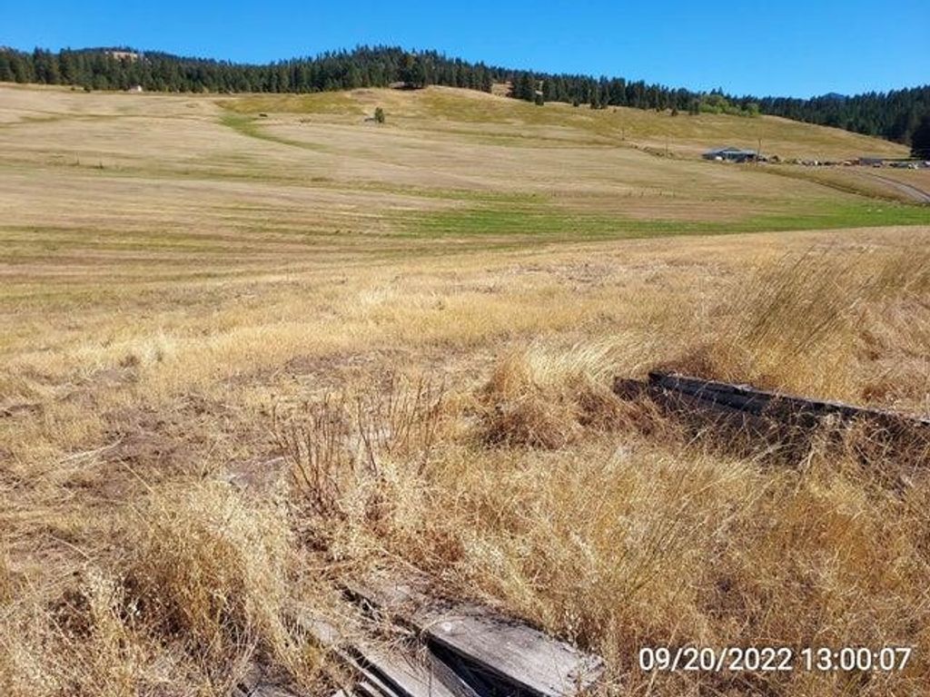37 Old Ranch House Rd, Republic, WA 99166 photo 20