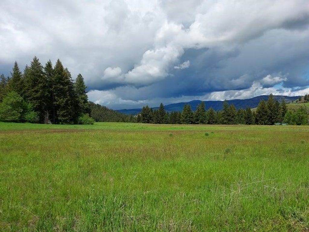 37 Old Ranch House Rd, Republic, WA 99166 photo 23