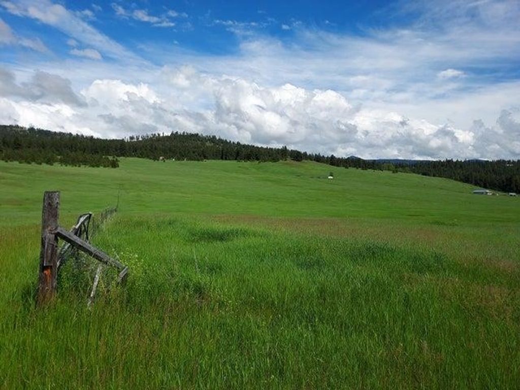 37 Old Ranch House Rd, Republic, WA 99166 photo 24