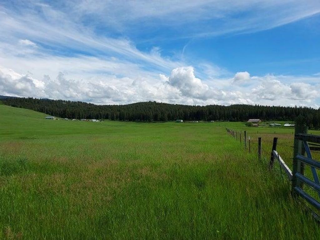 37 Old Ranch House Rd, Republic, WA 99166 photo 25