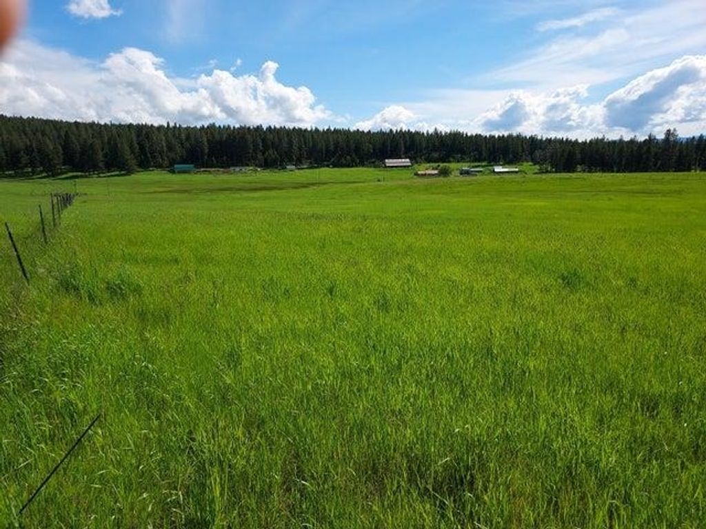 37 Old Ranch House Rd, Republic, WA 99166 photo 27