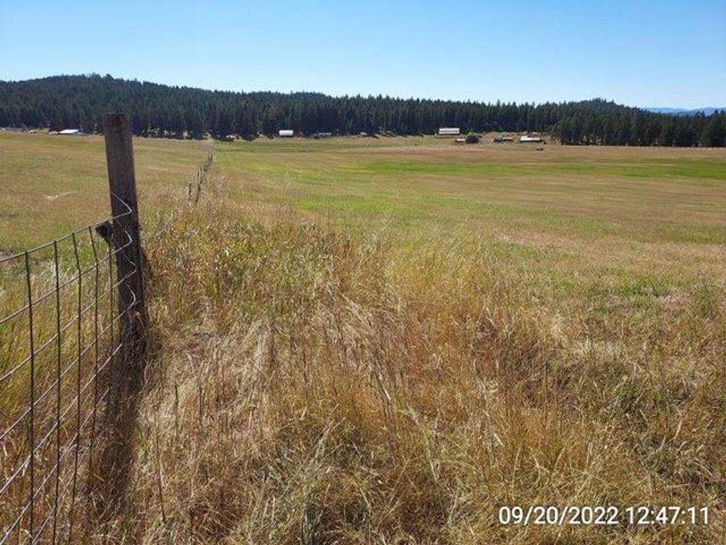 37 Old Ranch House Rd, Republic, WA 99166 photo 10