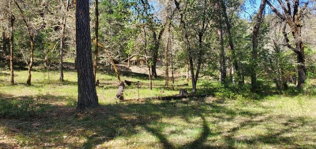 11238 E Evans Creek Road, Rogue River, OR 97537