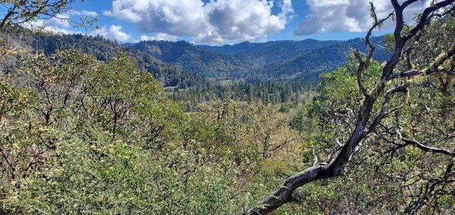 11238 E Evans Creek Road, Rogue River, OR 97537