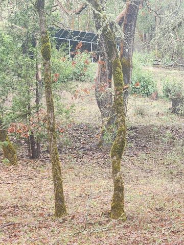 11238 E Evans Creek Road, Rogue River, OR 97537