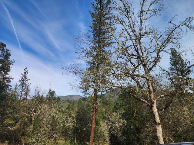 11238 E Evans Creek Road, Rogue River, OR 97537