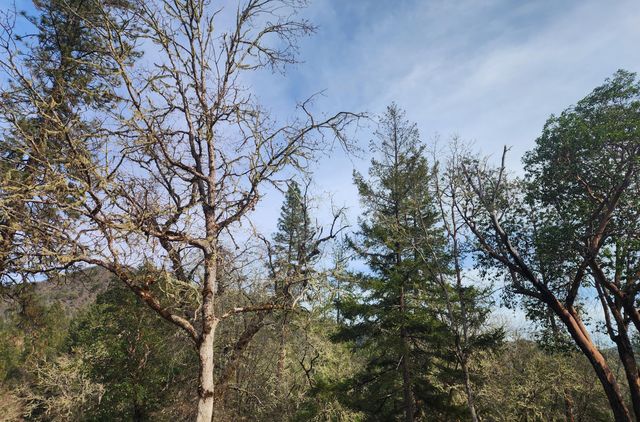 11238 E Evans Creek Road, Rogue River, OR 97537