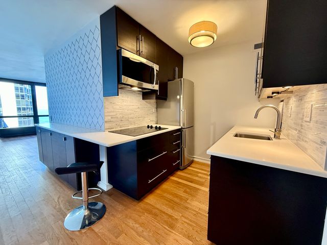 900 N Lake Shore Drive 2405, Chicago, IL 60611