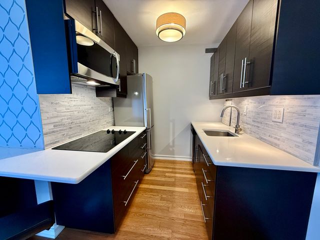 900 N Lake Shore Drive 2405, Chicago, IL 60611